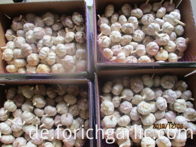 Garlic Storage Tips